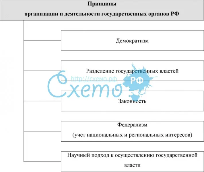 принципы организации и деятельности государственных органов РФ