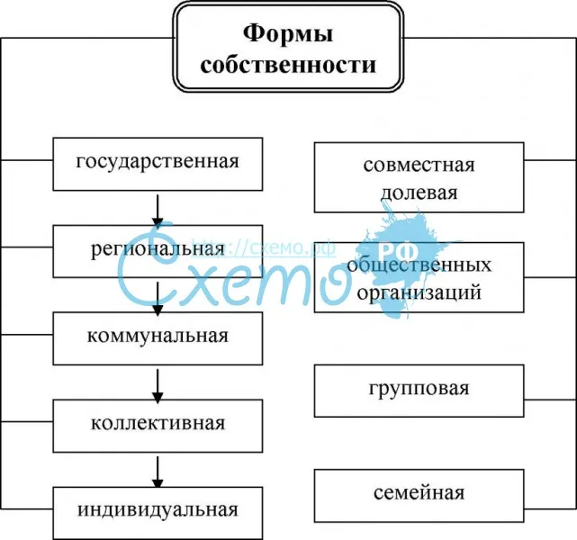 Формы собственности схема. Формы собственности в РФ таблица. Формы собственности собственность общественных организаций