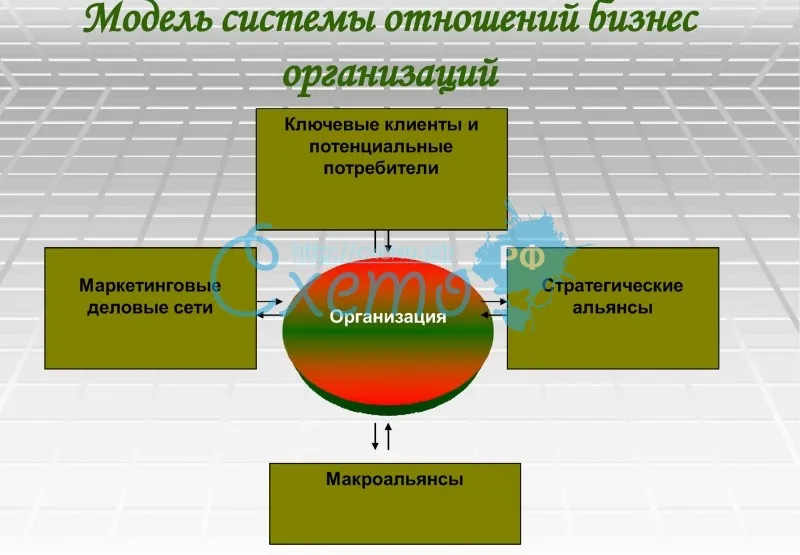 Модель системы отношений бизнес организаций