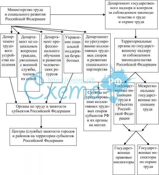 Органы государственного регулирования политики на рынке труда РФ