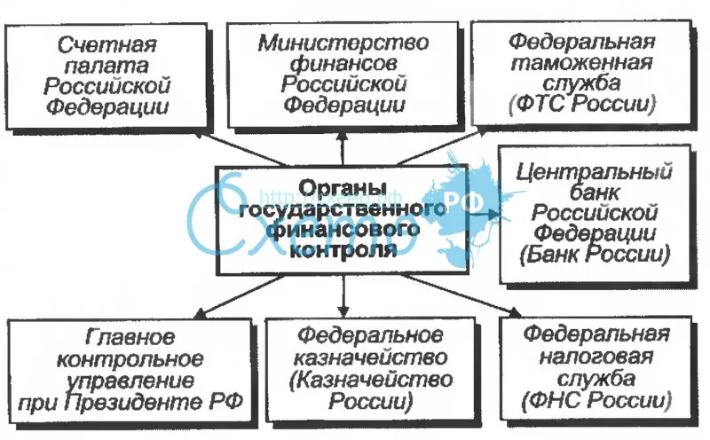 Органы государственного финансового контроля Российской Федерации