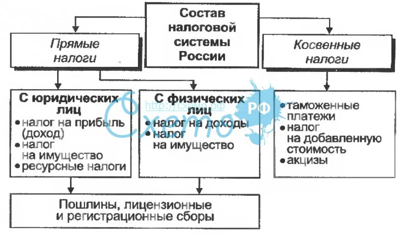 Состав налоговой системы Российской Федерации