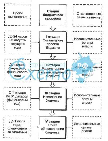 Особенности организации бюджетного процесса в Российской Федерации