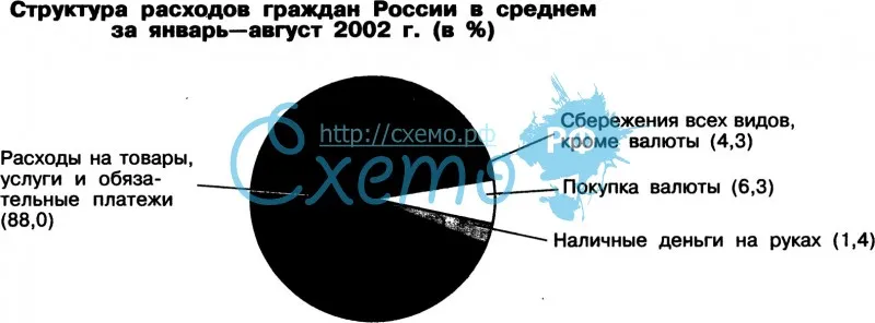 Структура расходов граждан России в среднем за январь-август 2002г.