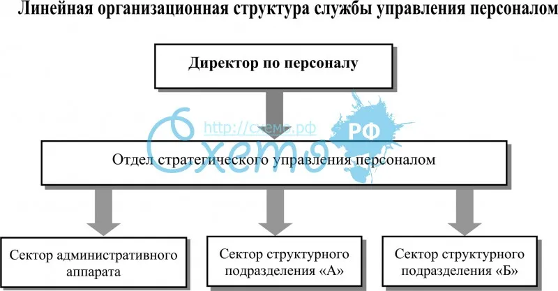 Линейная организационная структура службы управления персоналом