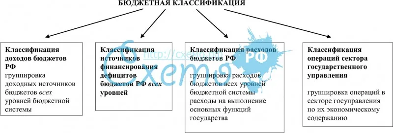 Бюджетная классификация РФ Виды бюджетной классификации