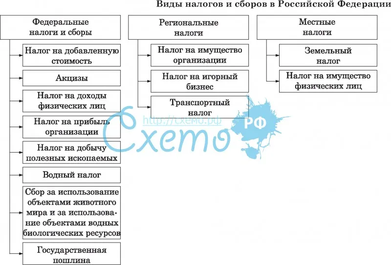 Виды налогов и сборов в российской федерации