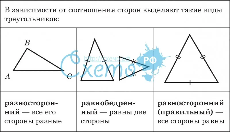Виды треугольников в зависимости от соотношения сторон