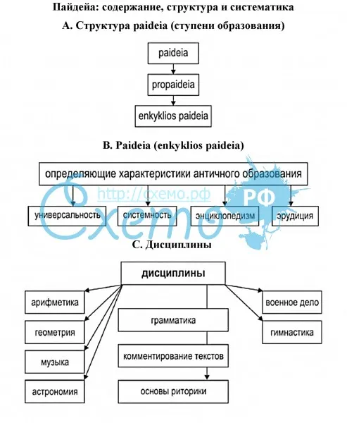Пайдейа: содержание, структура и систематика