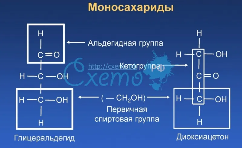 Моносахариды (1)