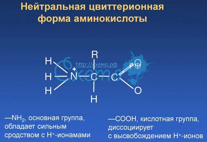 Нейтральная цвиттерионная форма аминокислоты