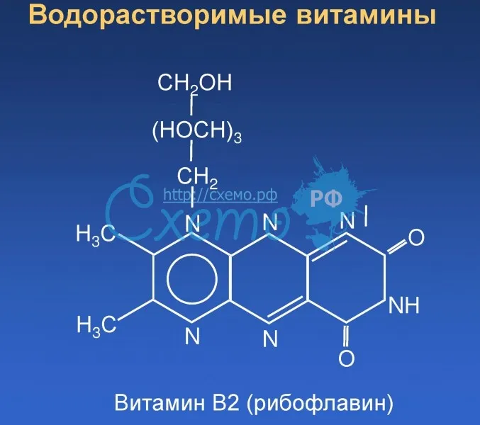 Водорастворимый витамин В2 (рибофлавин)
