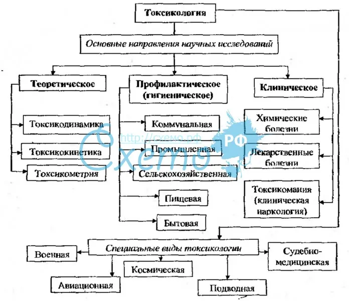 Структура современной токсикологии