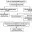 Иммунные механизмы «химического гомеостаза» схема таблица