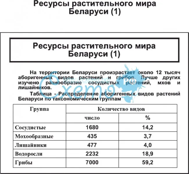 Ресурсы растительного мира Беларусии (1)