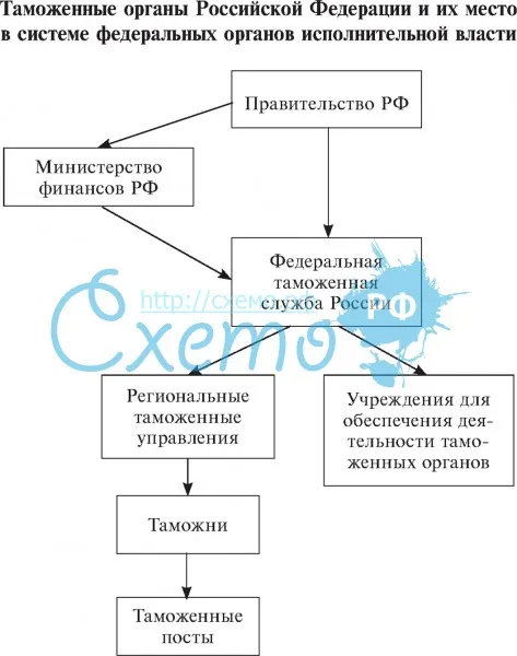 Таможенные органы Российской Федерации и их место в системе органов исполнительной власти