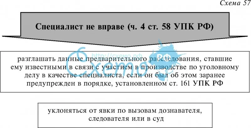 Специалист не вправе (ч. 4 ст. 58 УПК РФ)