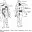 Зоны отраженных болей (зоны Захарьина-Геда) при заболеваниях внутренних органов. схема таблица