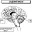 Задний мозг схема таблица