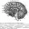 Головной мозг (сагиттальный разрез) схема таблица