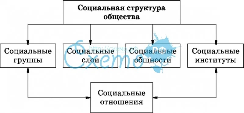 Социальная структура общества (слой, группа, институт социальный)