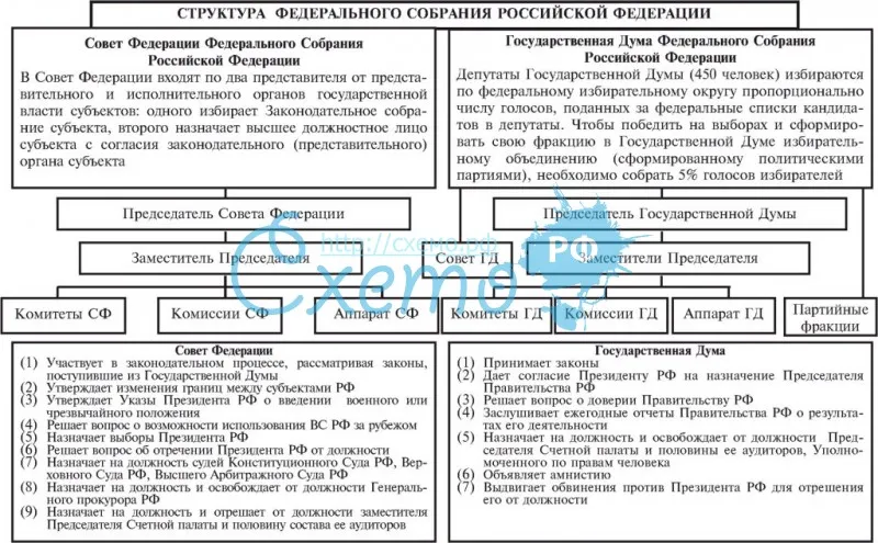 Структура Федерального Собрания Российской Федерации