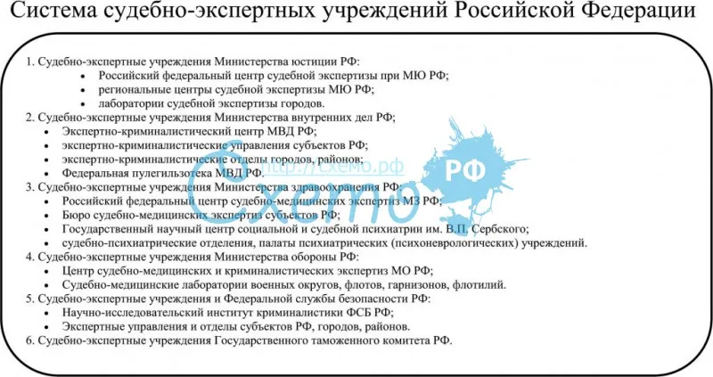 Система судебно-экспертных учреждений Российской Федерации