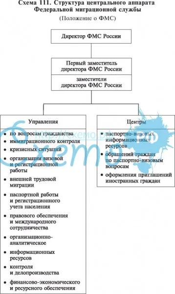 Структура центрального аппарата Федеральной миграционной службы (ФМС РФ)