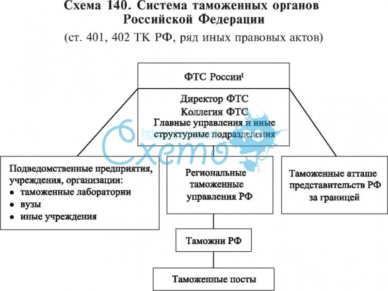 Система таможенных органов РФ