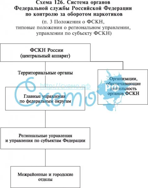 Система органов Федеральной службы РФ по контролю за оборотом наркотиков (ФСКН)
