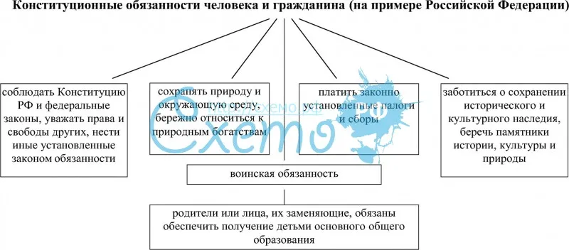 Конституционные обязанности человека и гражданина (на примере Российской Федерации)