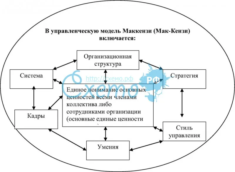 Система и элементы управления по модели Маккензи