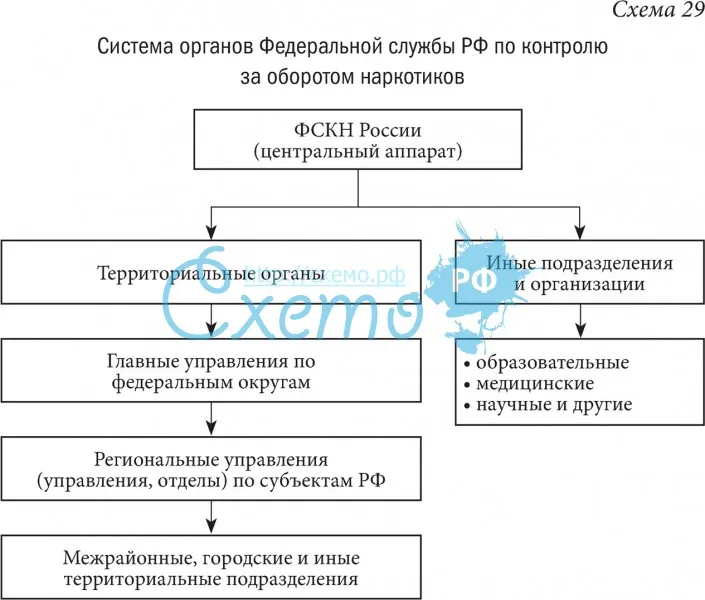 Система органов Федеральной службы Российской Федерации по контролю за оборотом наркотиков