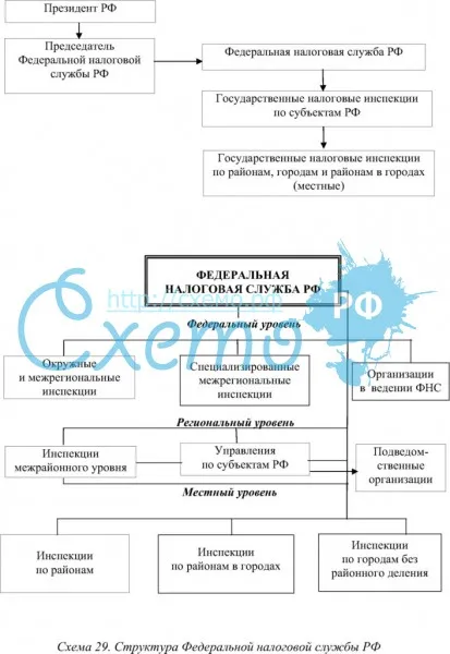 Структура Федеральной налоговой службы РФ