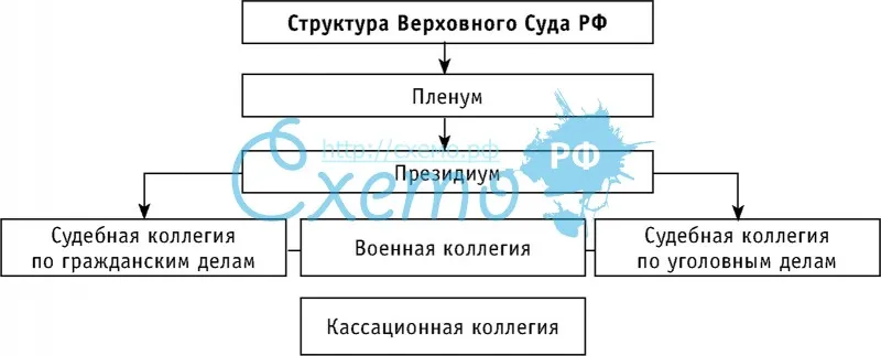 Структура Верховного Суда РФ