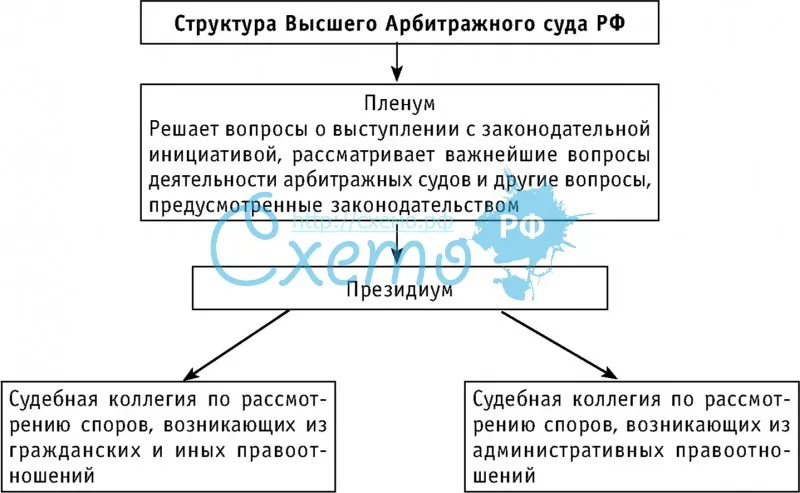Структура Высшего Арбитражного суда РФ