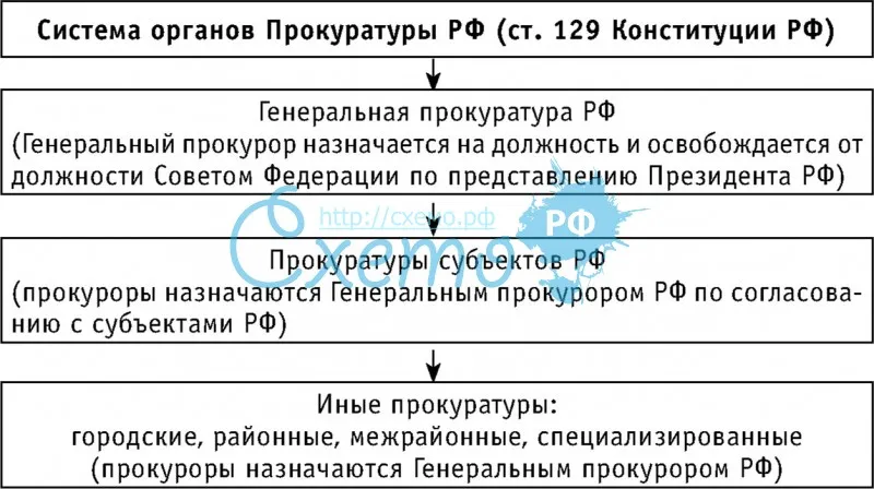 Система органов Прокуратуры РФ
