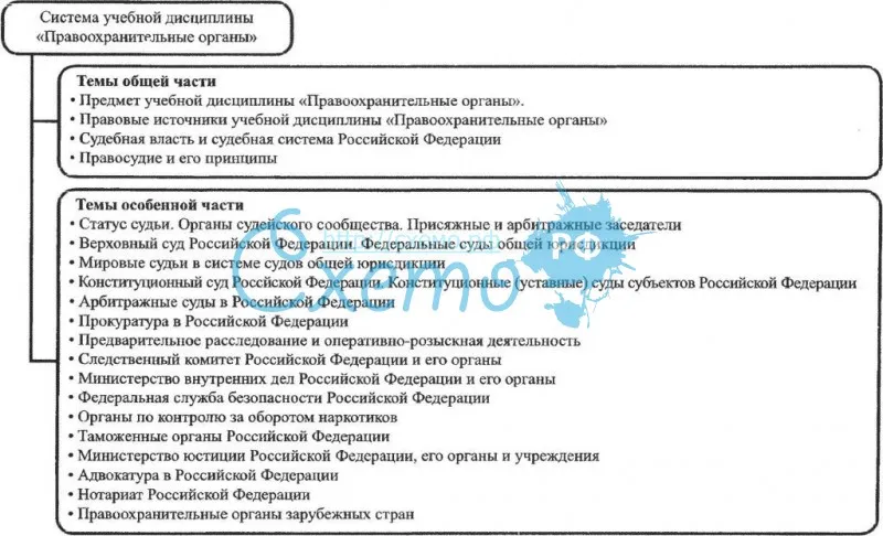 Система учебного курса «Правоохранительные органы РФ»