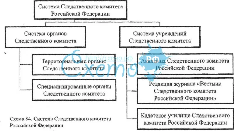 Следственный комитет РФ и его органы