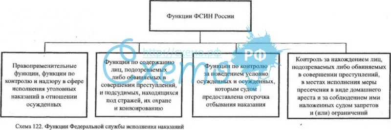 Функции Федеральной службы исполнения наказаний (ФСИН России)