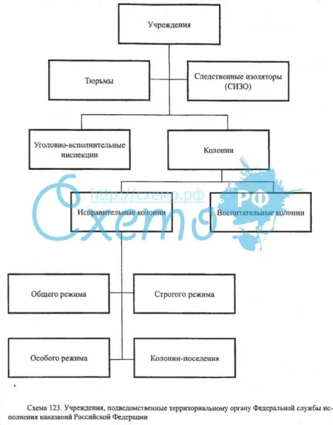 Учреждения, подведомственные территориальному органу Федеральной службы исполнения наказаний РФ
