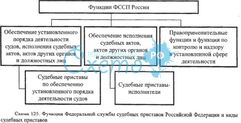 Функции Федеральной службы судебных приставов РФ и виды судебных приставов