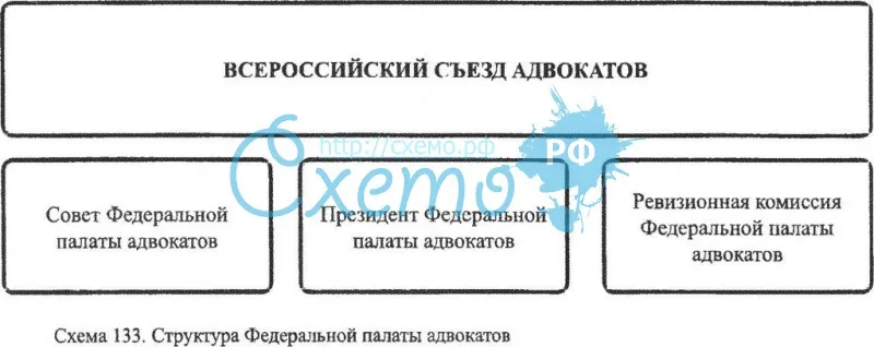 Структура Федеральной палаты адвокатов, всероссийский съезд адвокатов