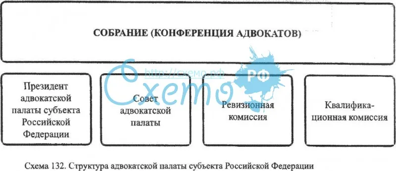 Структура адвокатской палаты субъекта РФ