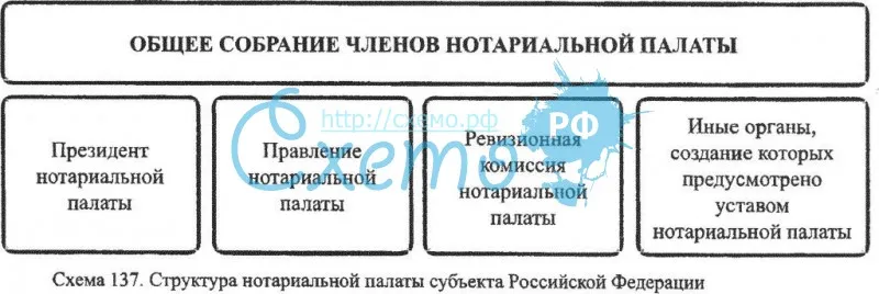 Структура нотариальной палаты субъекта РФ