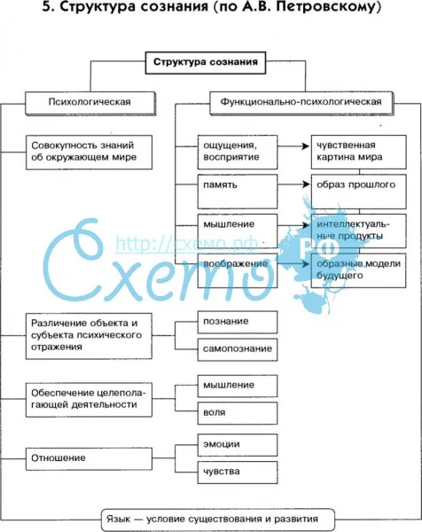 Структура сознания по А.В. Петровскому