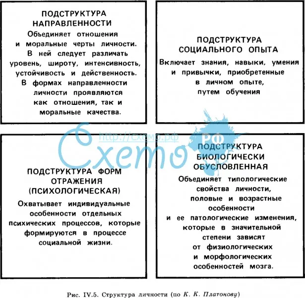 Структура личности по К.К. Платонову