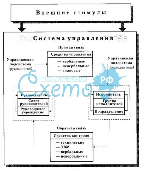 Структура подсистем управления в подсистемах «человек-человек»