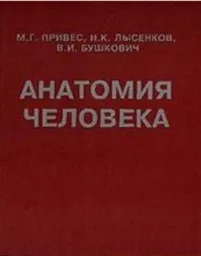 Привес М.Г.,Лысенков Н.К.,Бушкович В.И. Анатомия человека, 1985