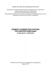 Стрижкина В.Н., Стрижкина И.В. Бюджет и бюджетная система Российской Федерации(в рисунках и таблицах), 2013